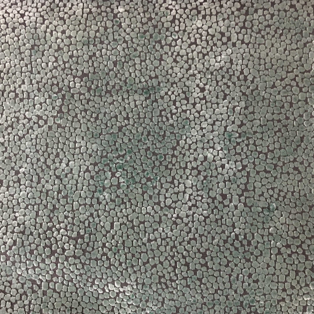 Tuscany-Florence Dots Burnout Velvet Fabric Top Fabric Color: Oyster