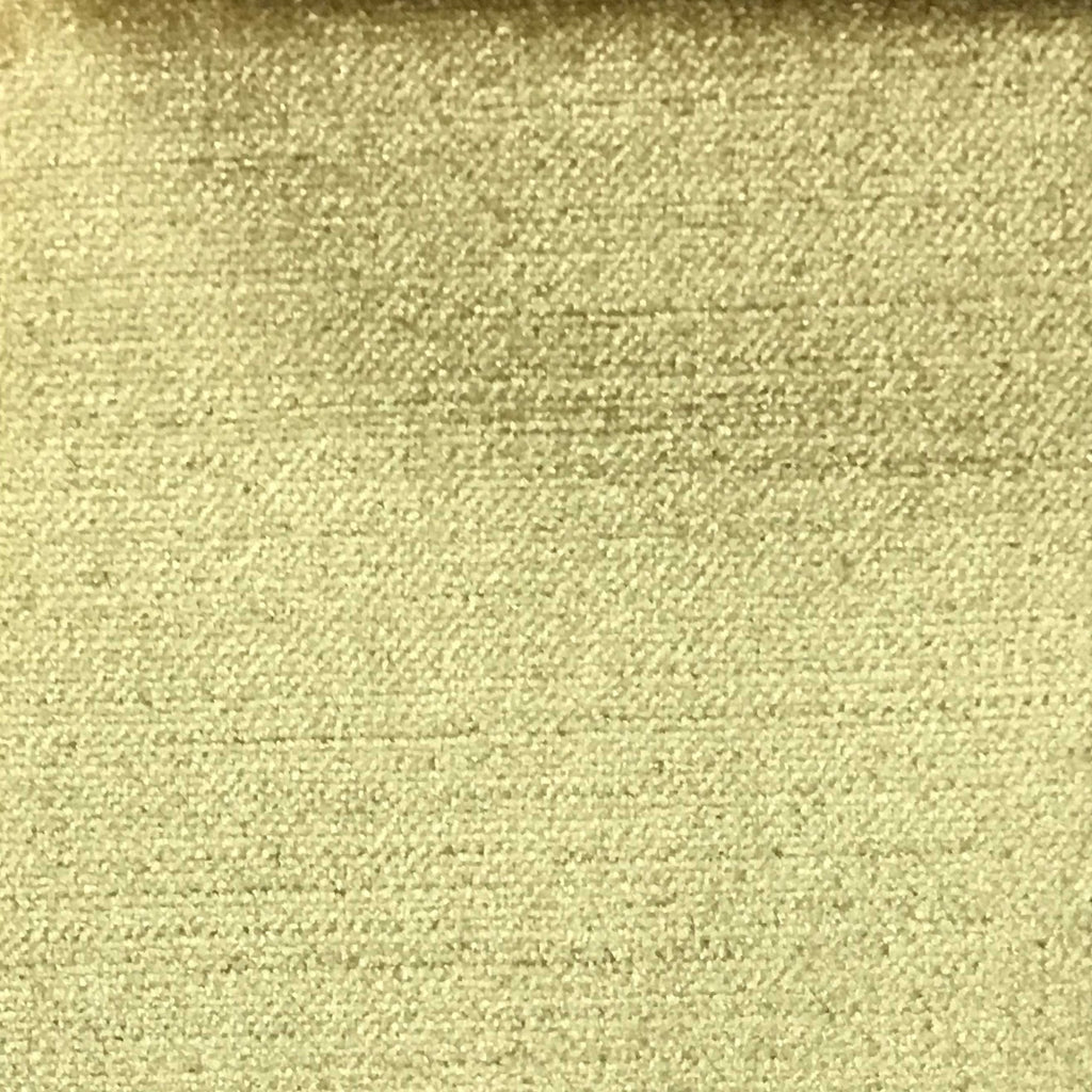 Queen - Lustrous Metallic Solid Cotton Rayon Blend Upholstery Velvet Fabric by the Yard - Available in 83 Colors - New Wheat - Top Fabric - 18