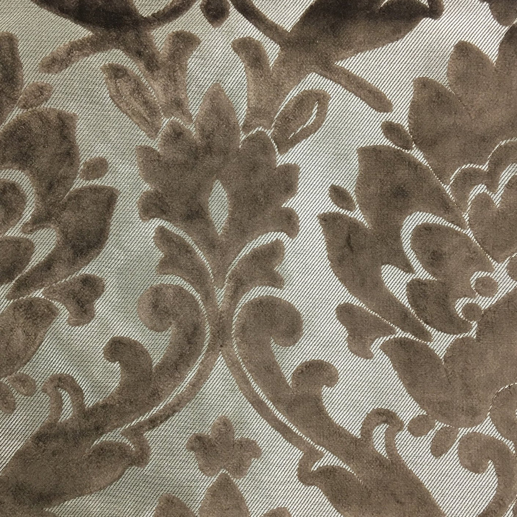 Radcliffe - Damask Pattern Lurex Burnout Velvet Upholstery Fabric by the Yard - Available in 23 Colors - Bark - Top Fabric - 31