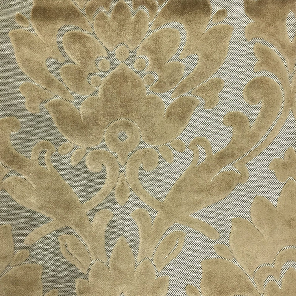 Radcliffe - Damask Pattern Lurex Burnout Velvet Upholstery Fabric by the Yard - Available in 23 Colors - Latte - Top Fabric - 29