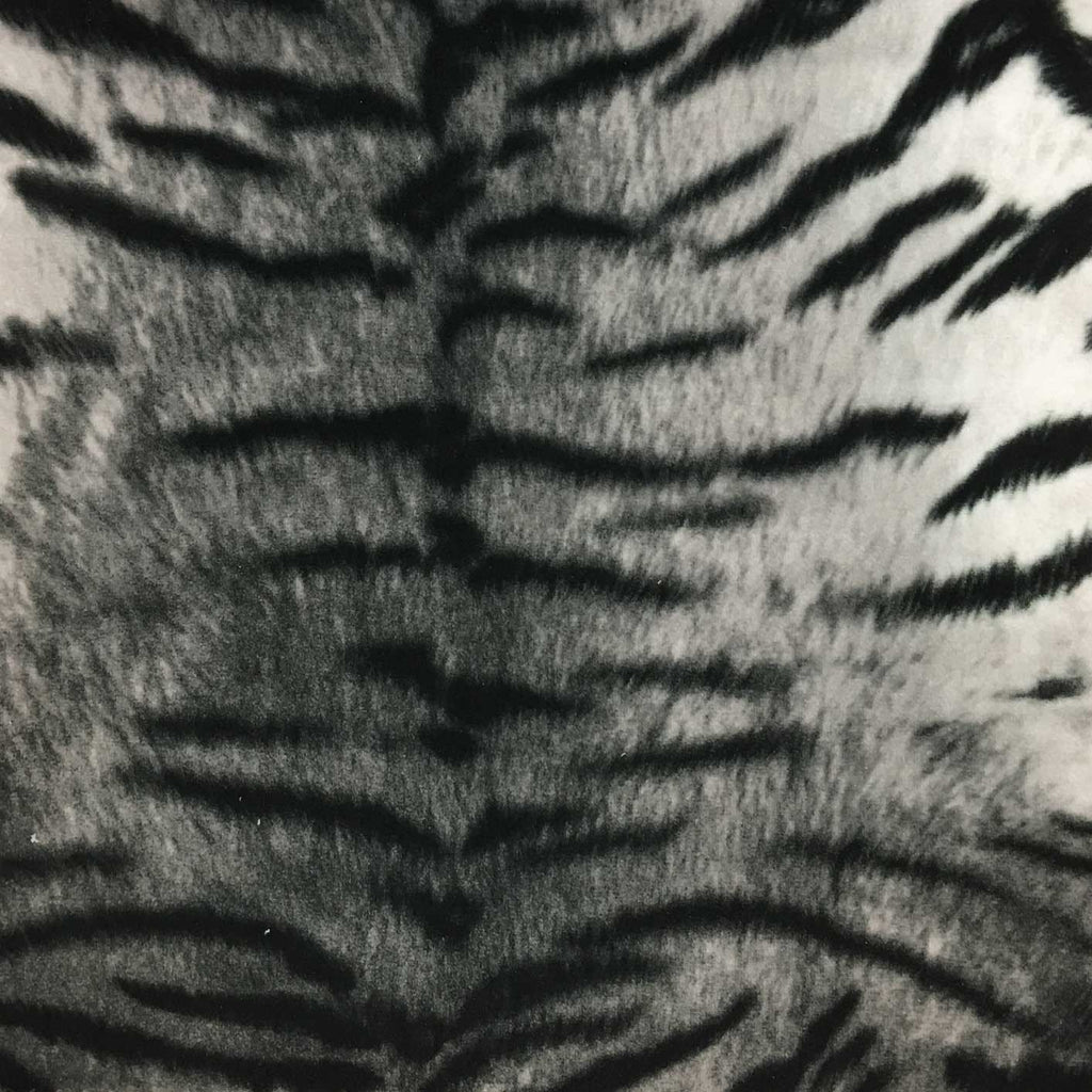Safari - Tiger - Short Pile Velvet Fabric Drapery, Pillow, & Upholstery Fabric by the Yard - Available in 2 Colors - Black / With Backing - Top Fabric - 1